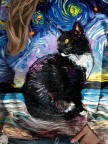 Black Tuxedo Cat Sweatshirt